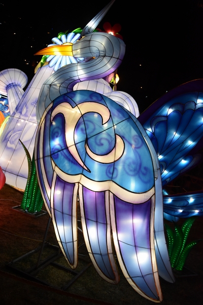 WONDERLAND A magical city of lights